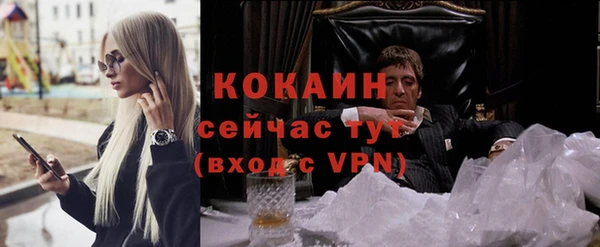 дживик Абинск