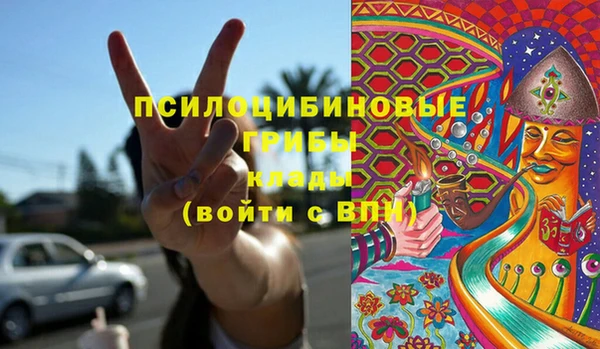дживик Абинск