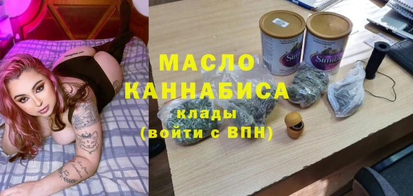 крисы Слюдянка