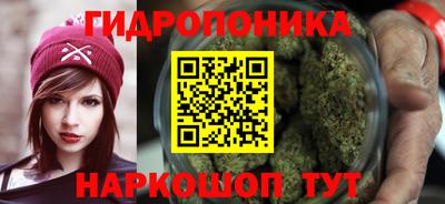 ПСИЛОЦИБИНОВЫЕ ГРИБЫ Абакан