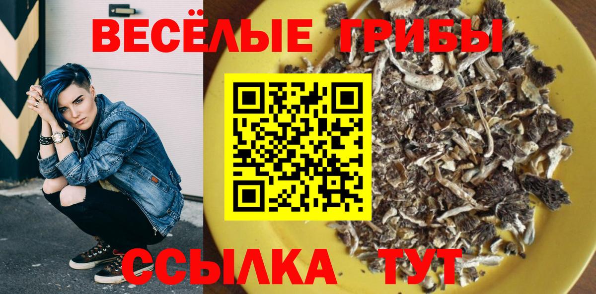 Абинск  Галлюциногенные грибы GOLDEN TEACHER  Галлюциногенные грибы Magic Shrooms  Вход с VPN 